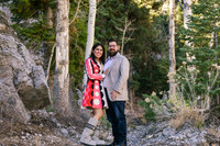 11.9.25 The Farley's {Mt. Charleston}