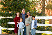 1.18.26 The Fultons